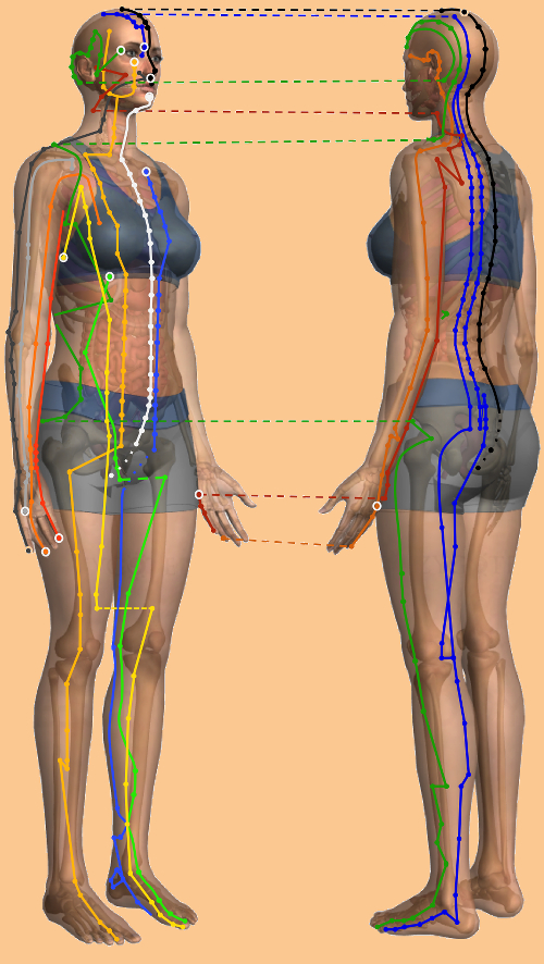 Méridiens en MTC et points EFT